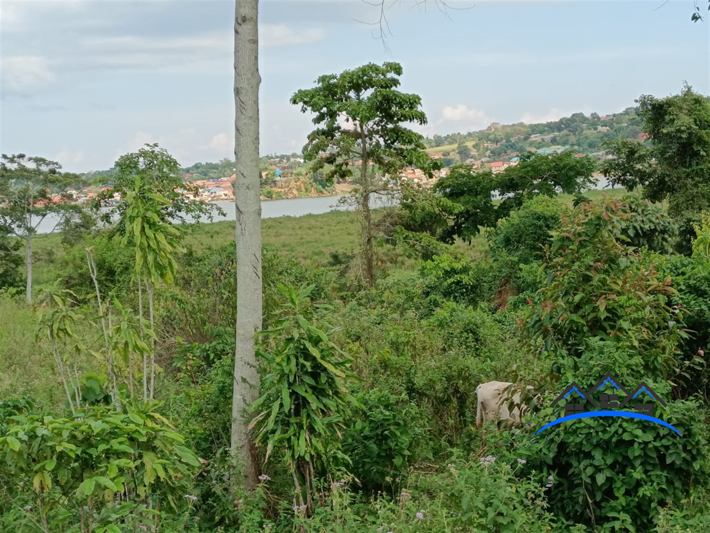 Residential Land for sale in Katosi Mukono