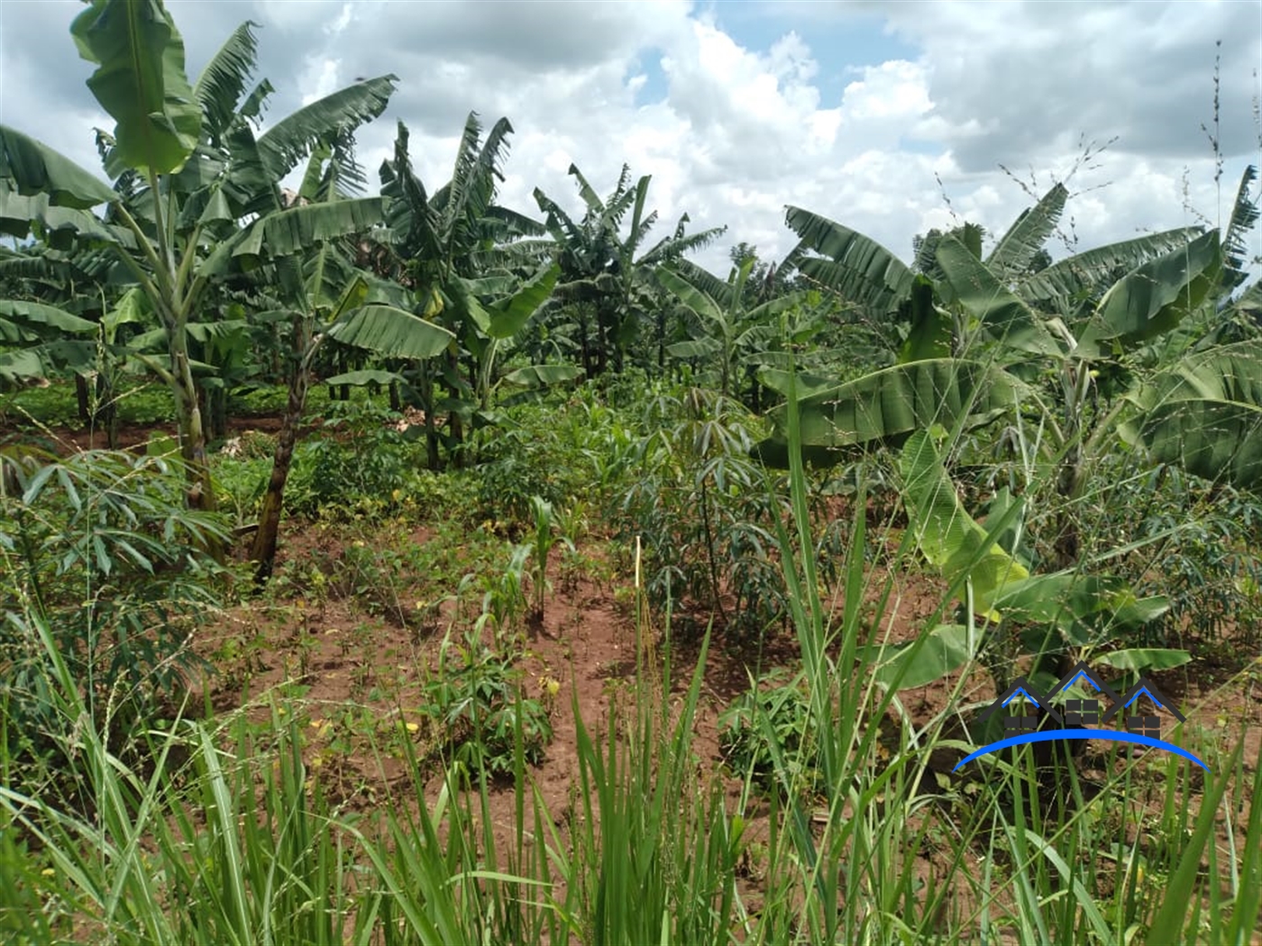 Agricultural Land for sale in Kiwenda Wakiso