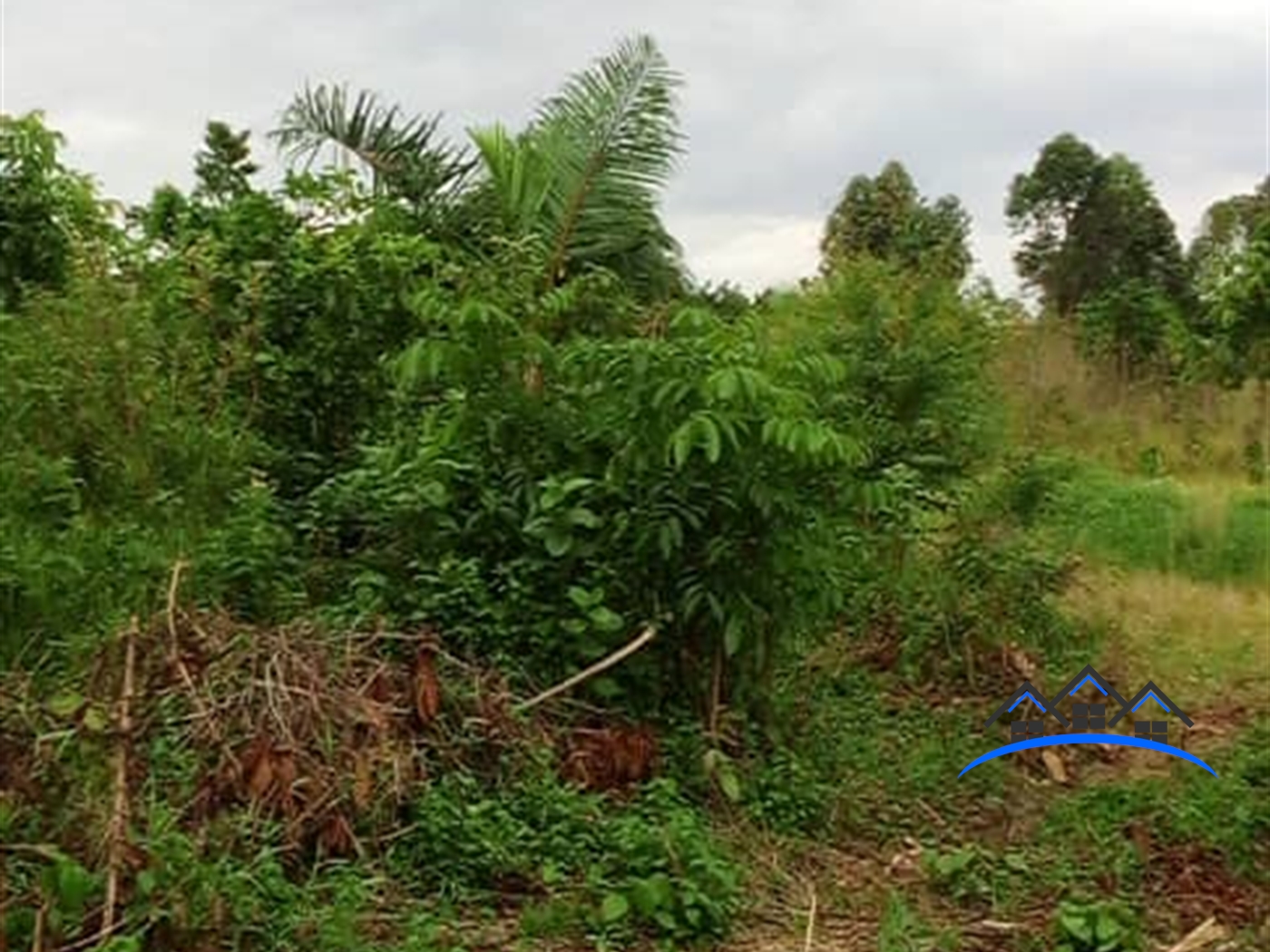 Agricultural Land for sale in Kasanjje Wakiso