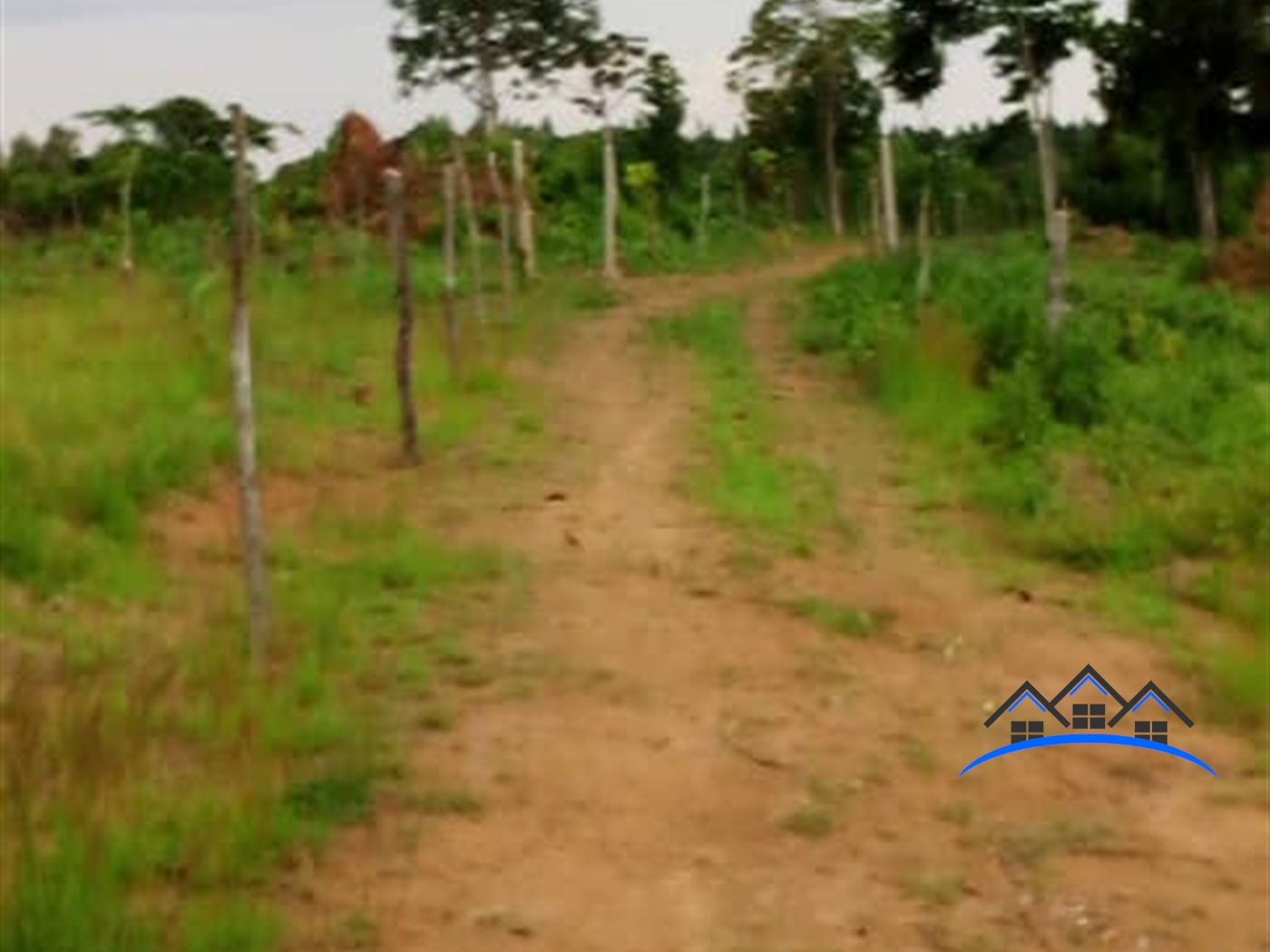 Agricultural Land for sale in Kasanjje Wakiso