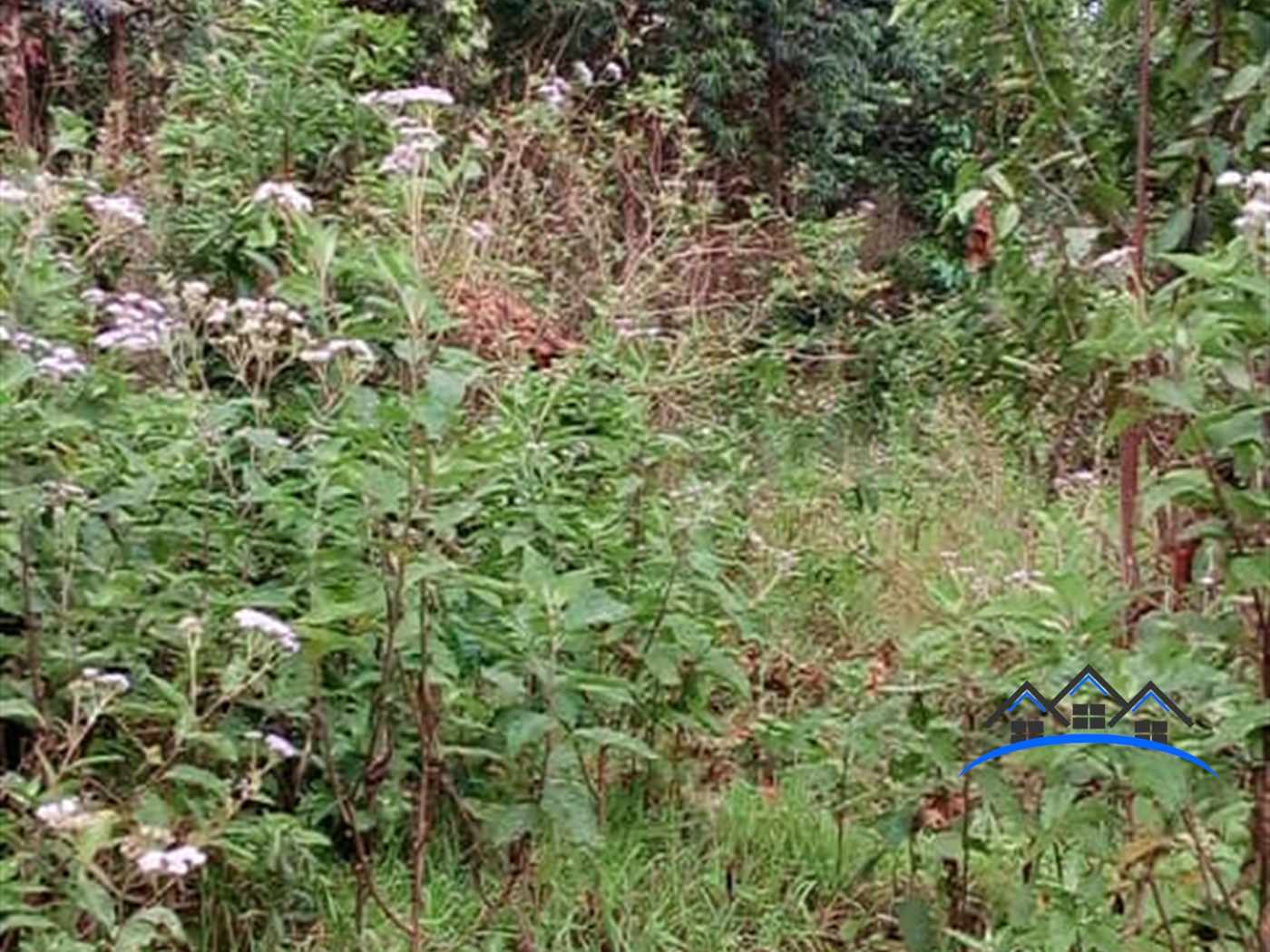 Agricultural Land for sale in Kasanjje Wakiso