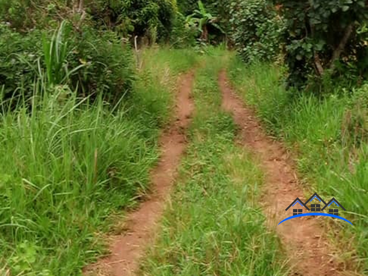 Agricultural Land for sale in Kasanjje Wakiso