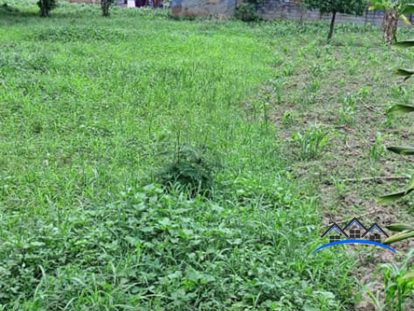 Residential Land for sale in Muyenga Kampala