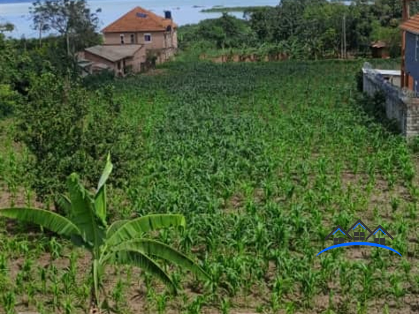 Residential Land for sale in Muyenga Kampala