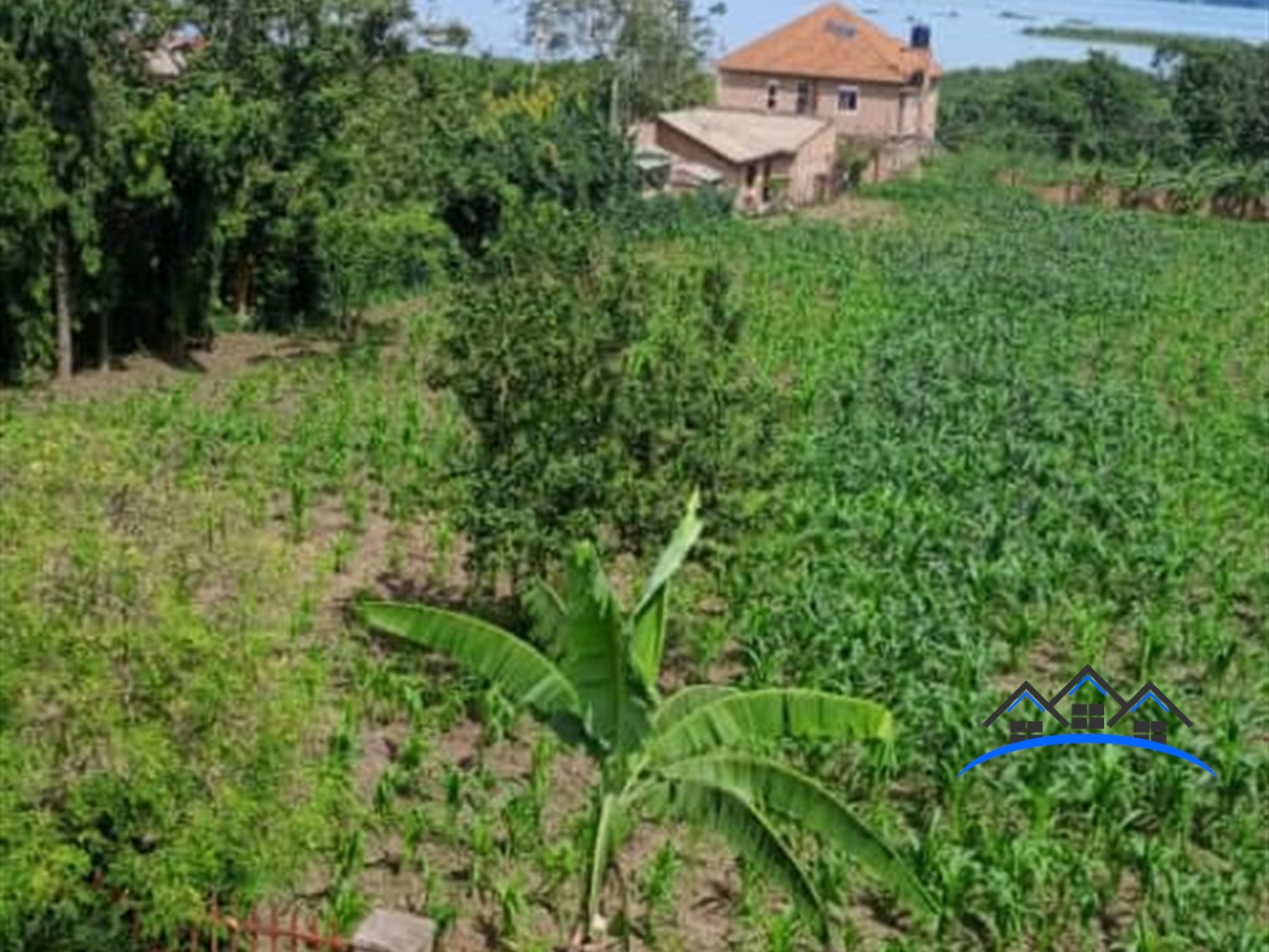 Residential Land for sale in Muyenga Kampala