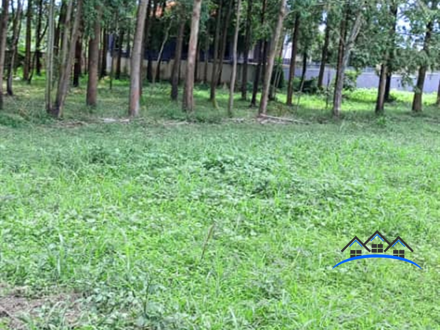 Residential Land for sale in Muyenga Kampala