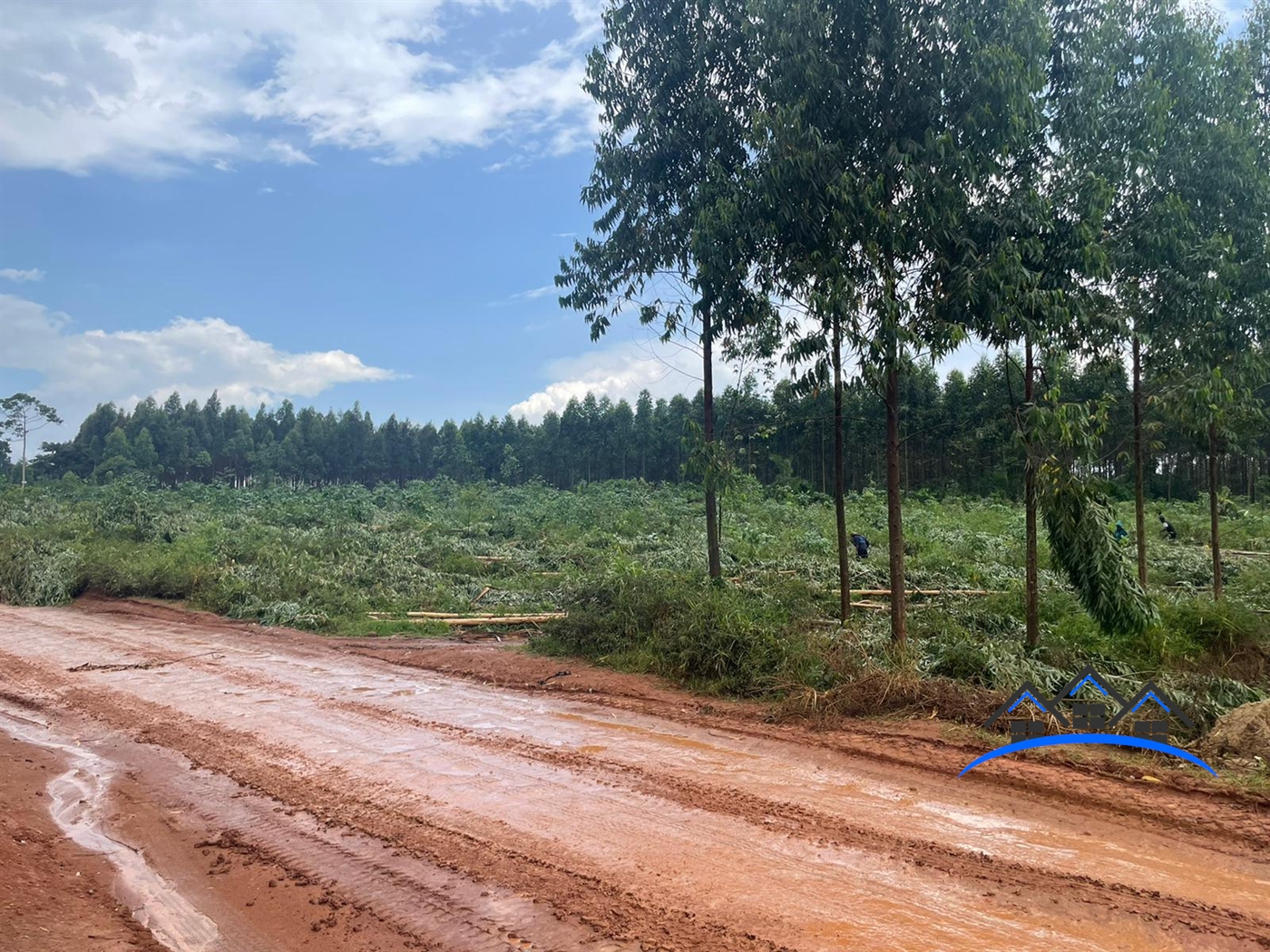 Agricultural Land for sale in Namanve Wakiso