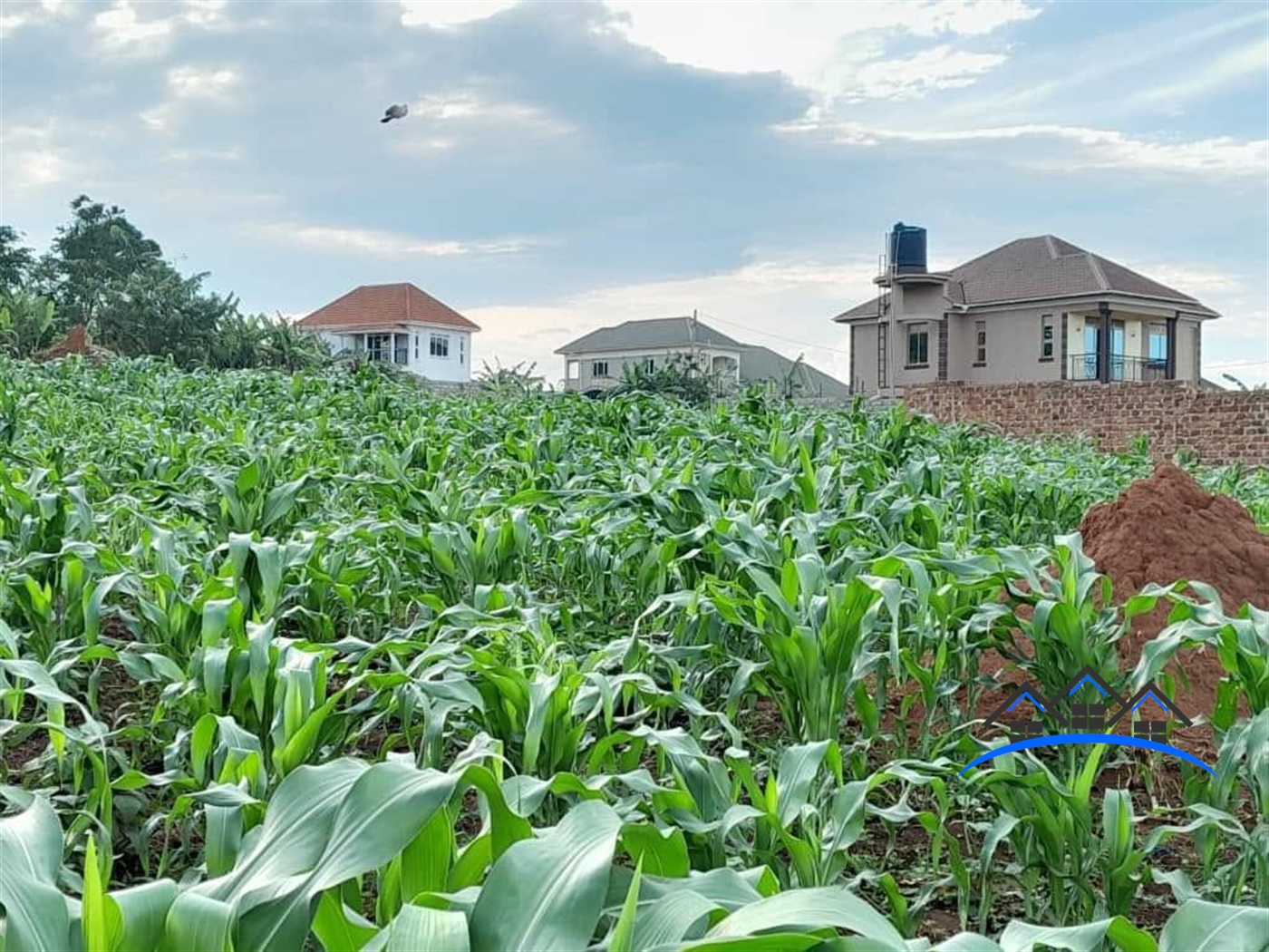 Residential Land for sale in Sonde Mukono