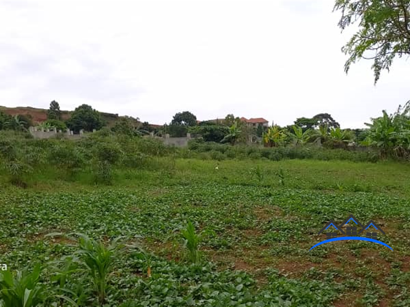 Residential Land for sale in Munyonyo Kampala