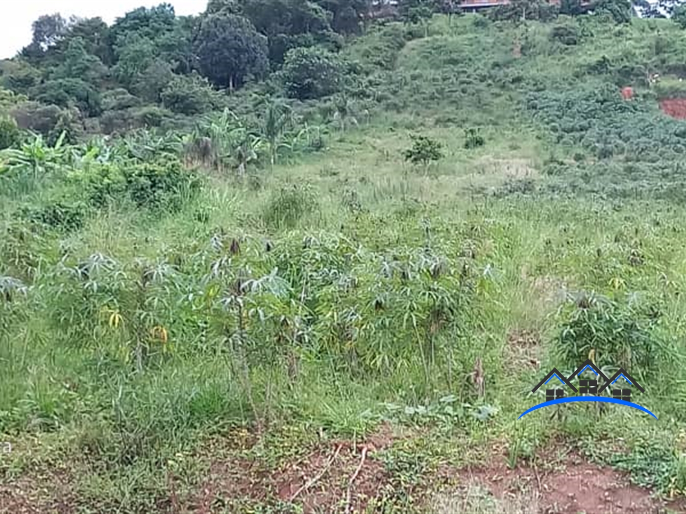 Residential Land for sale in Munyonyo Kampala