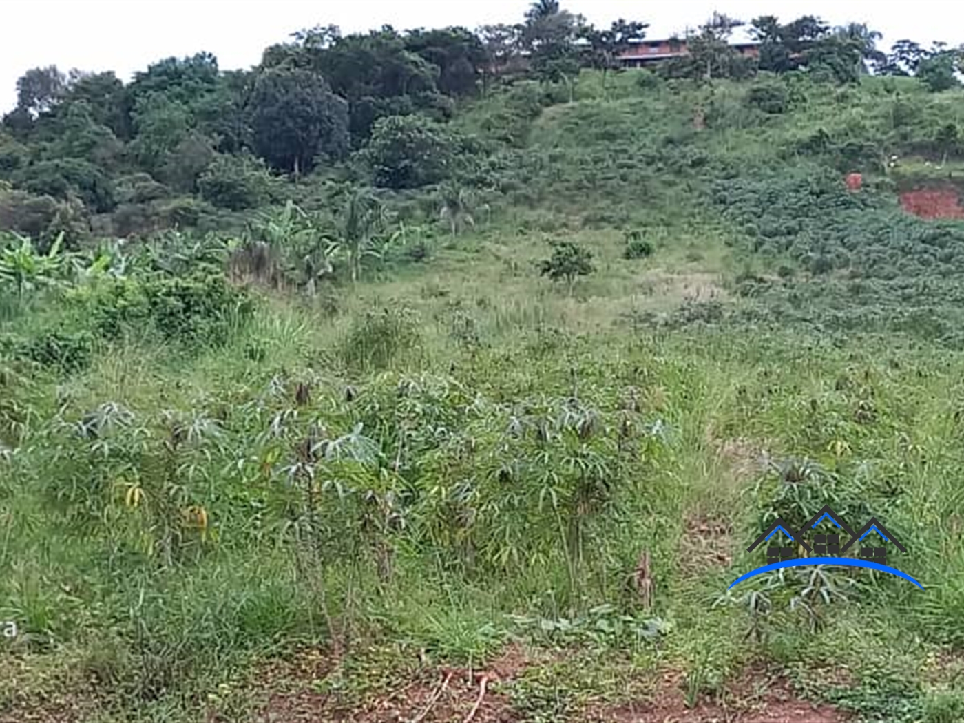 Residential Land for sale in Munyonyo Kampala