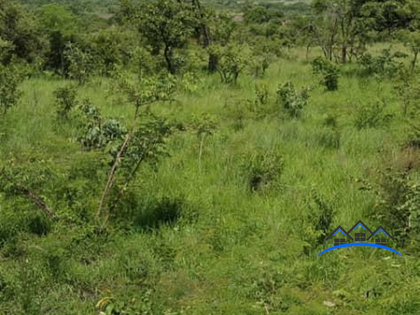 Agricultural Land for sale in Okidi Amuru