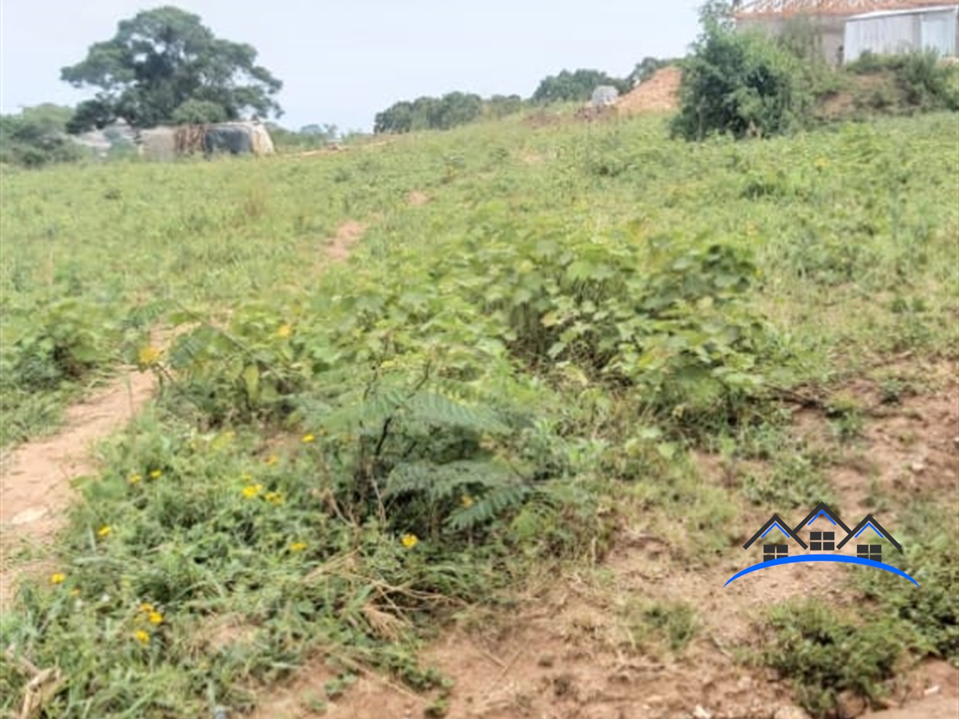 Residential Land for sale in Namulanda Wakiso