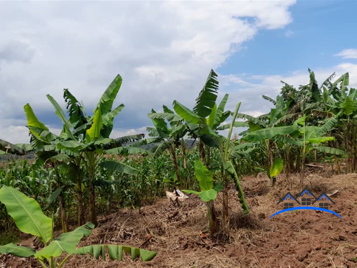 Residential Land for sale in Ssanga Wakiso