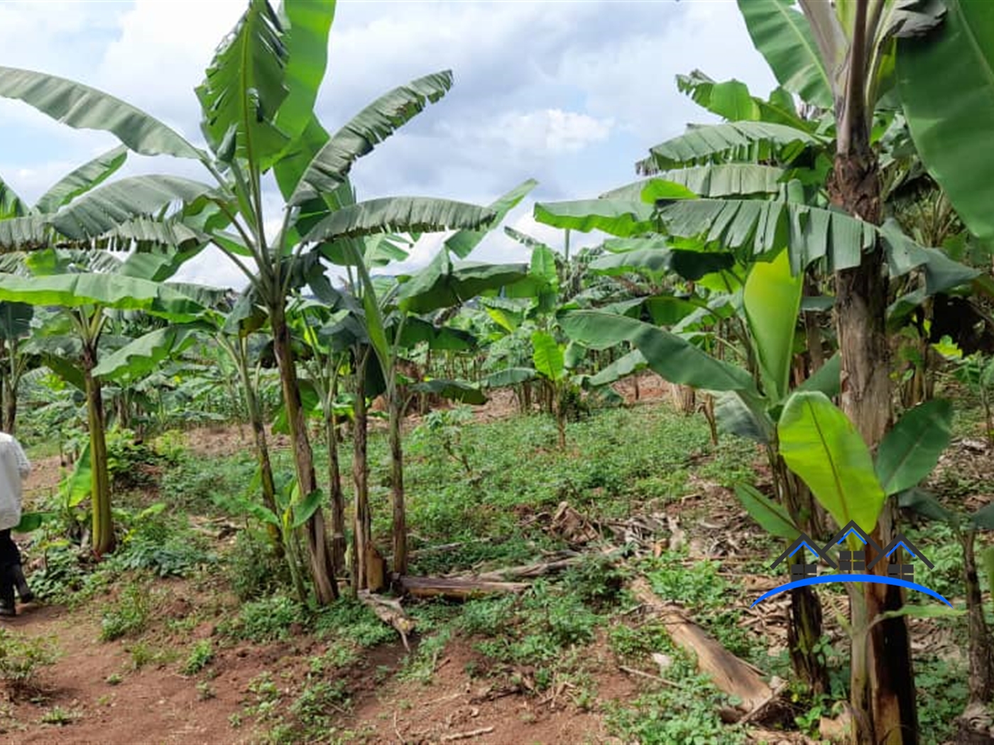 Residential Land for sale in Ssanga Wakiso