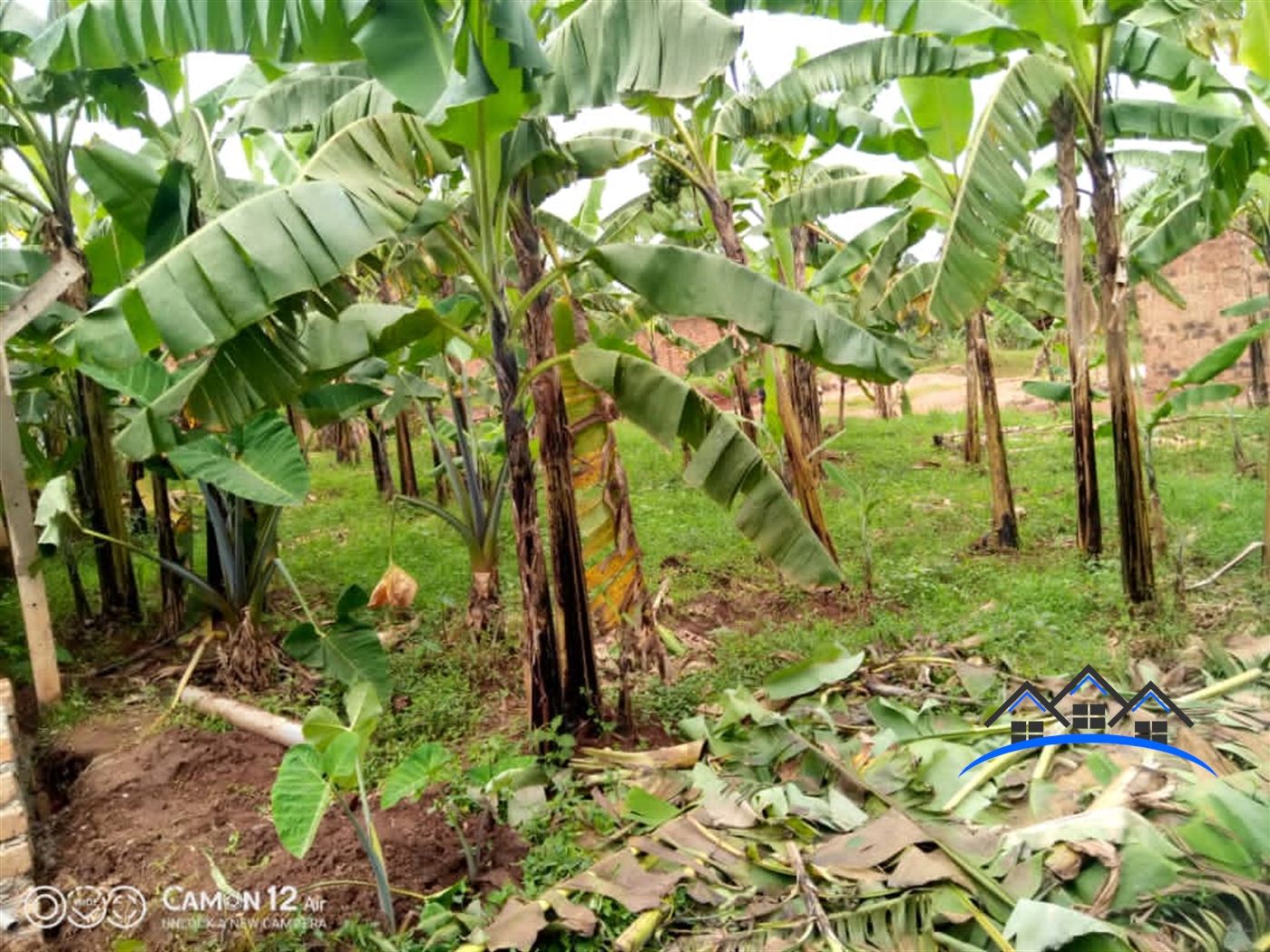 Residential Land for sale in Ssanga Wakiso