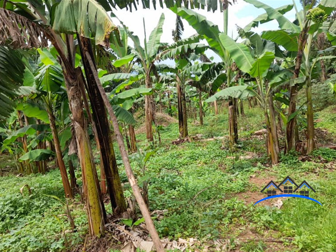 Residential Land for sale in Ssanga Wakiso