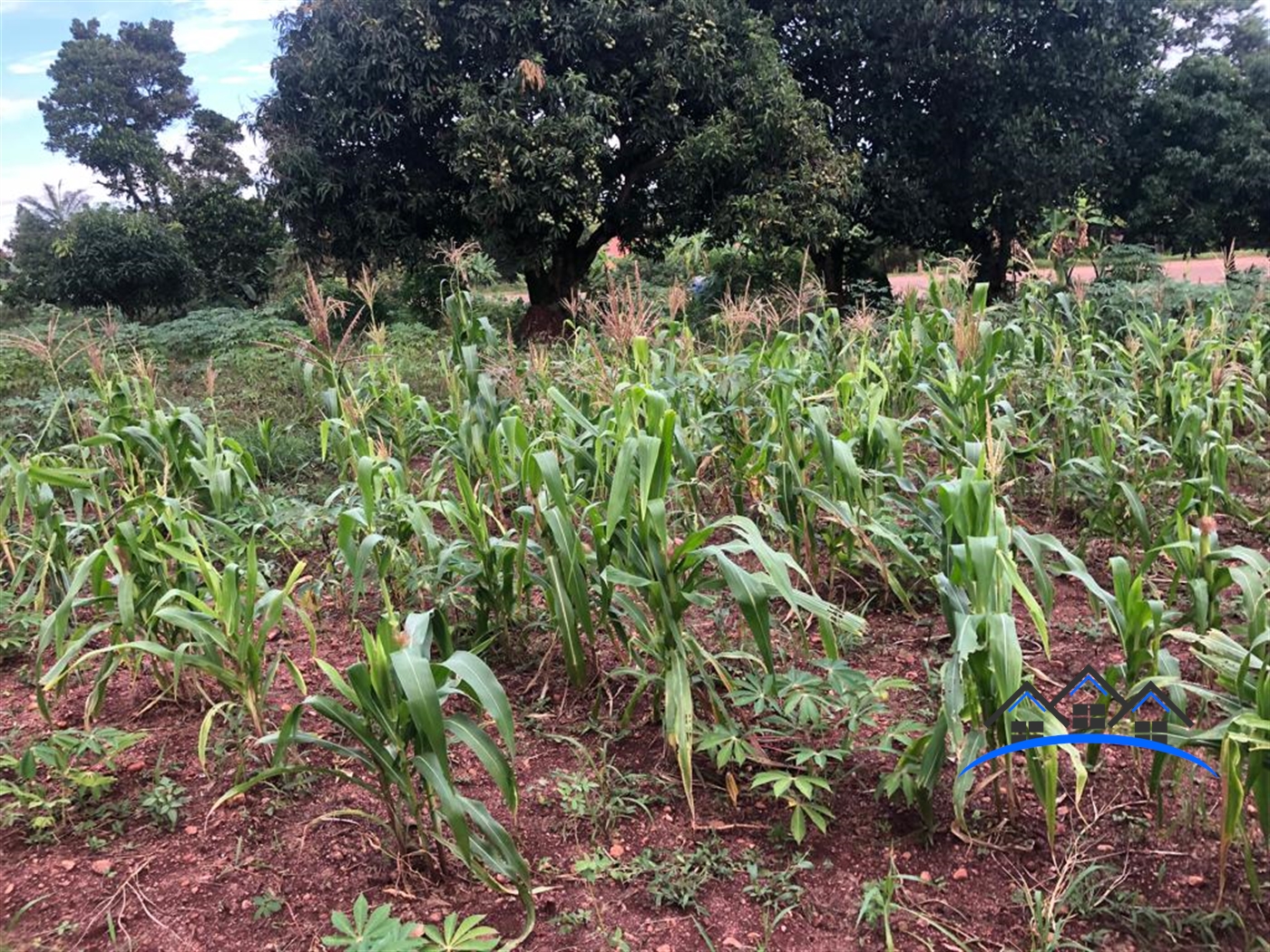 Residential Land for sale in Namulanda Wakiso