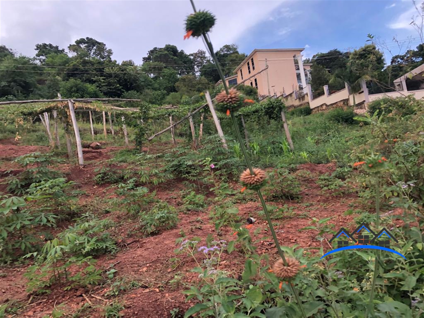 Residential Land for sale in Namulanda Wakiso