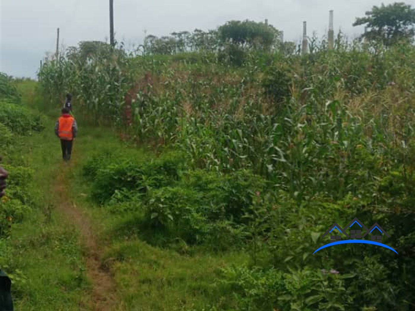 Residential Land for sale in Busambaga Wakiso