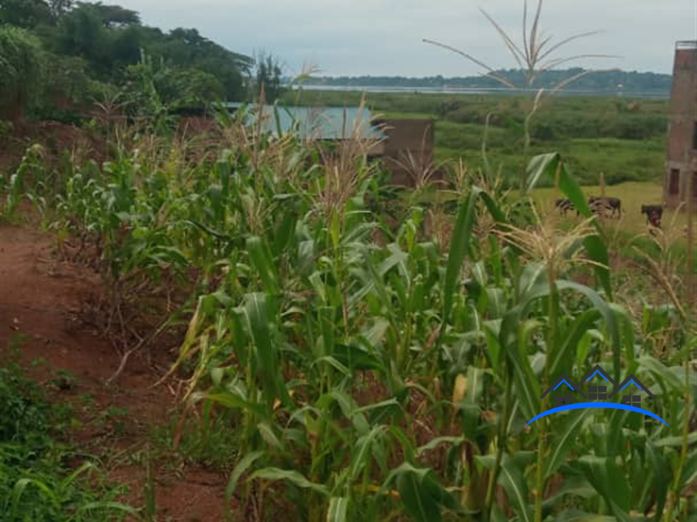 Residential Land for sale in Busambaga Wakiso