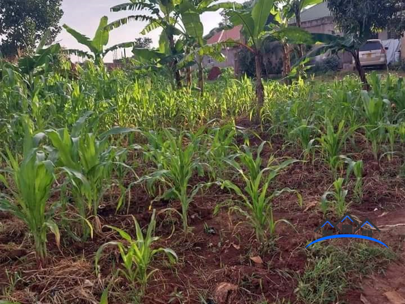 Residential Land for sale in Kira Wakiso