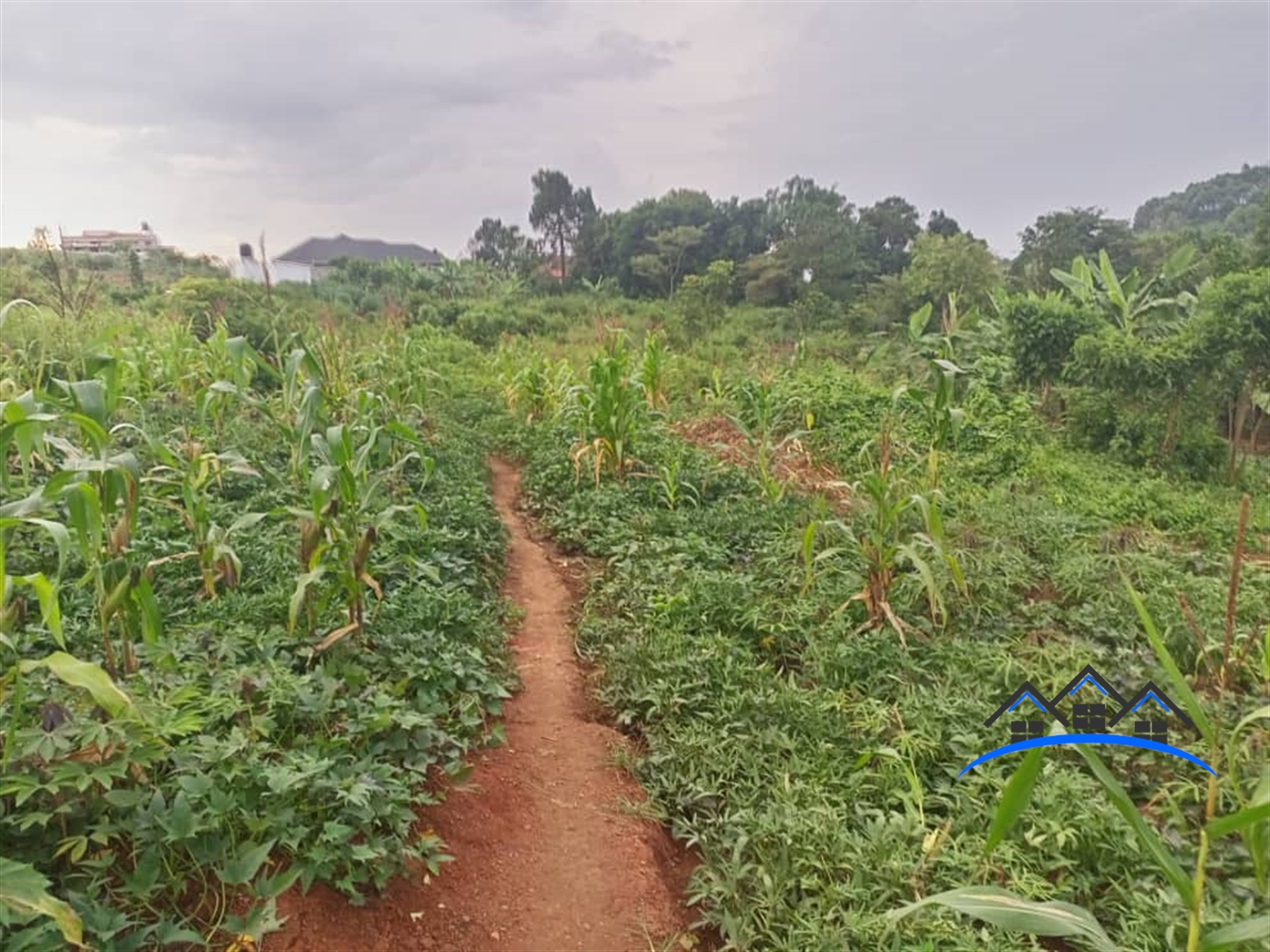 Residential Land for sale in Nabusigwe Wakiso