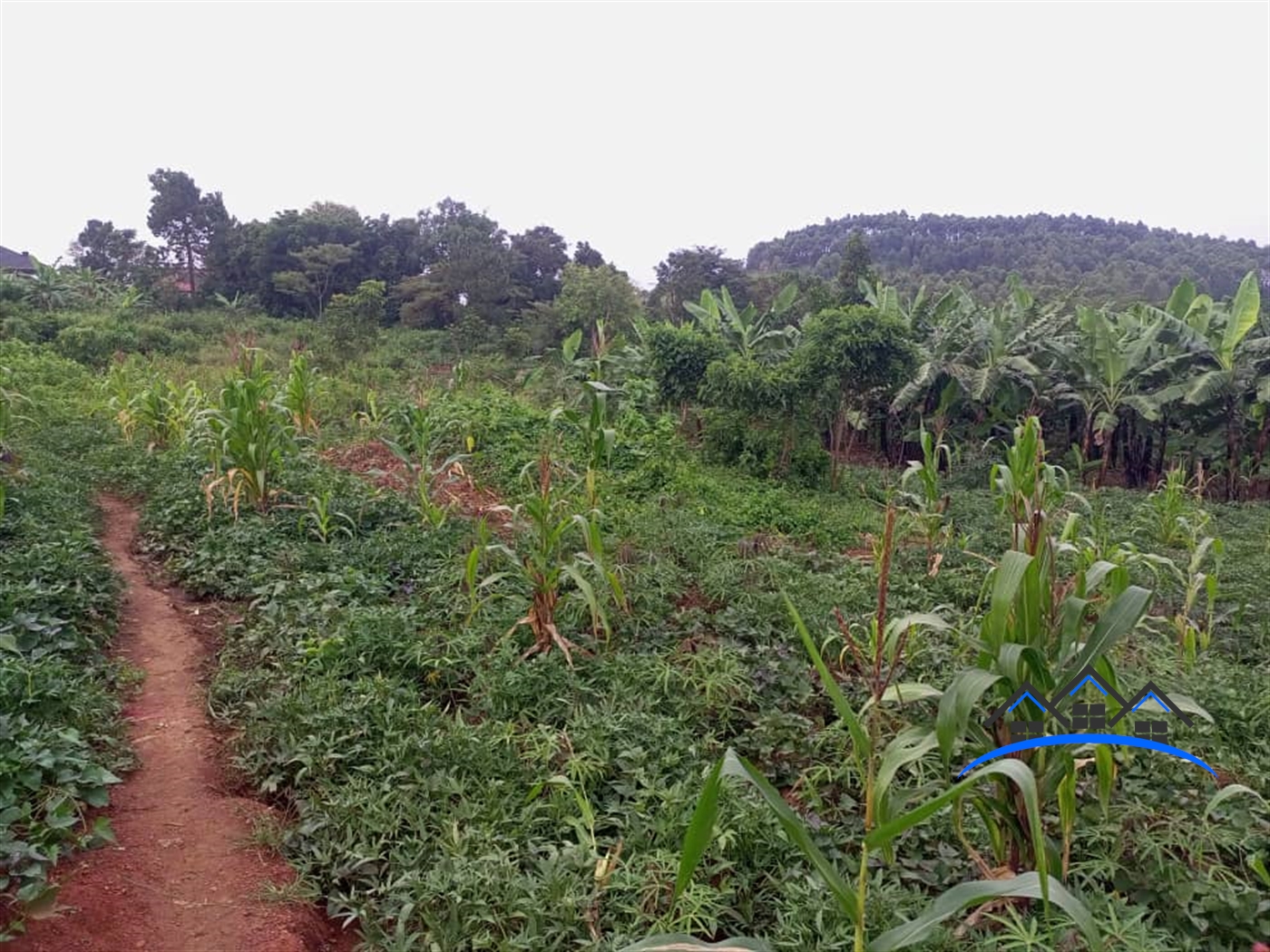 Residential Land for sale in Nabusigwe Wakiso