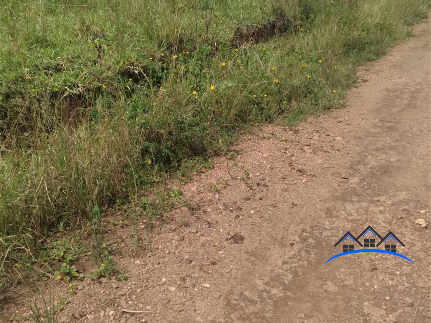 Residential Land for sale in Busukuma Wakiso