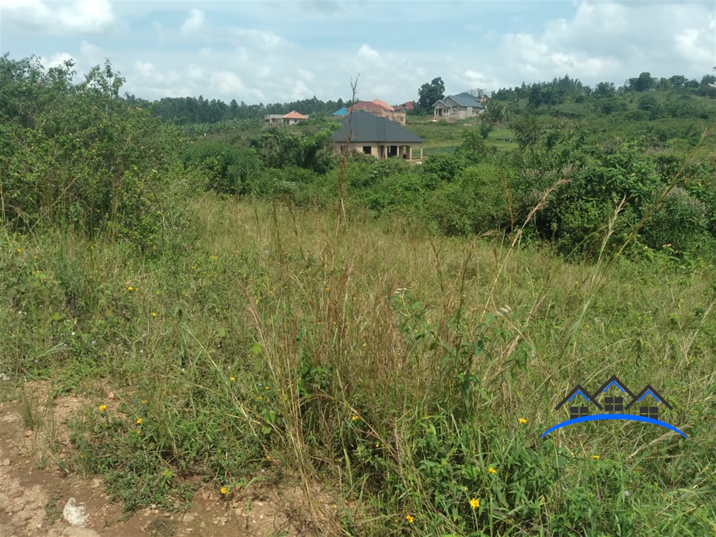 Residential Land for sale in Busukuma Wakiso