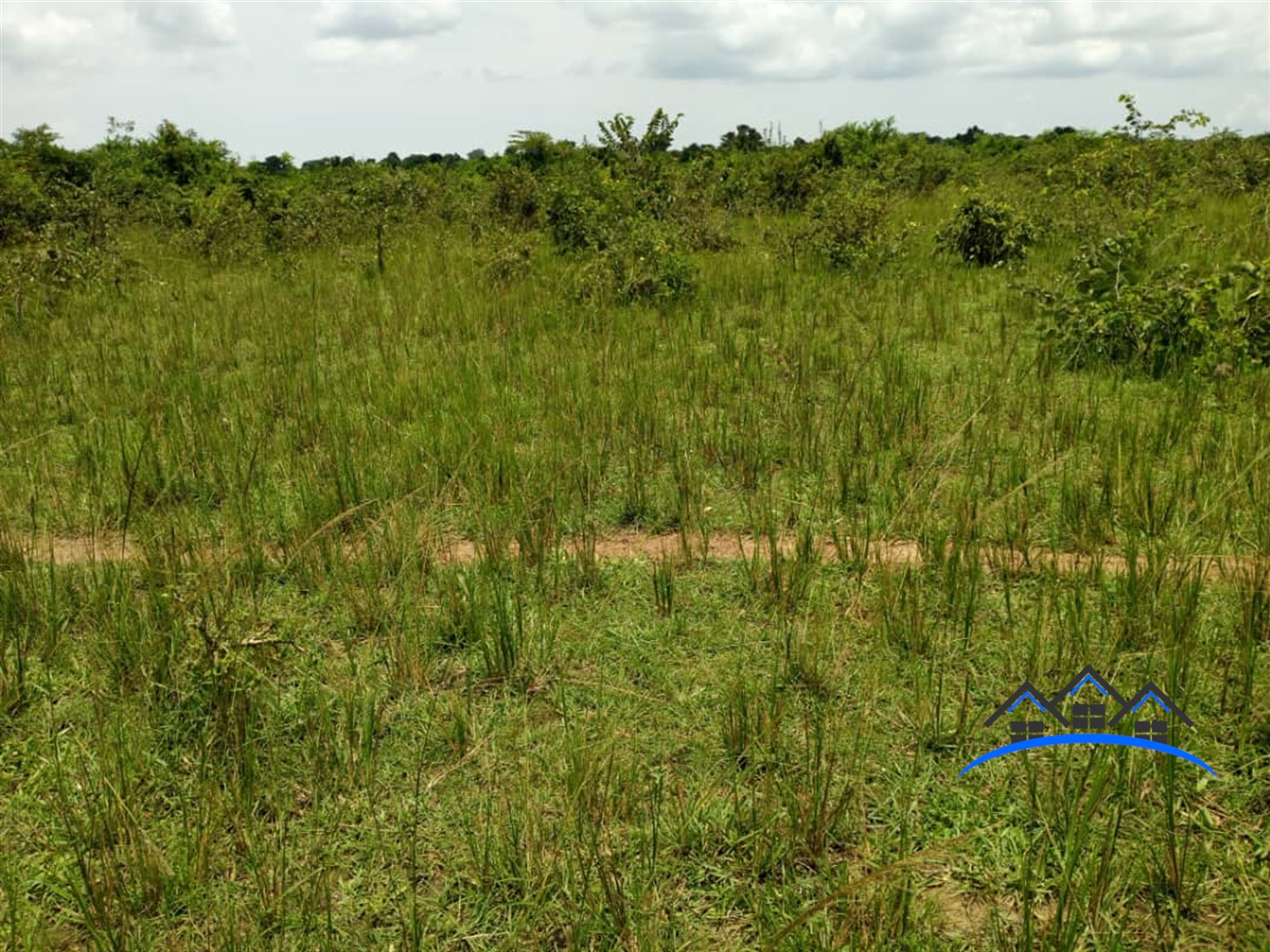 Agricultural Land for sale in Kalongo Nakasongola