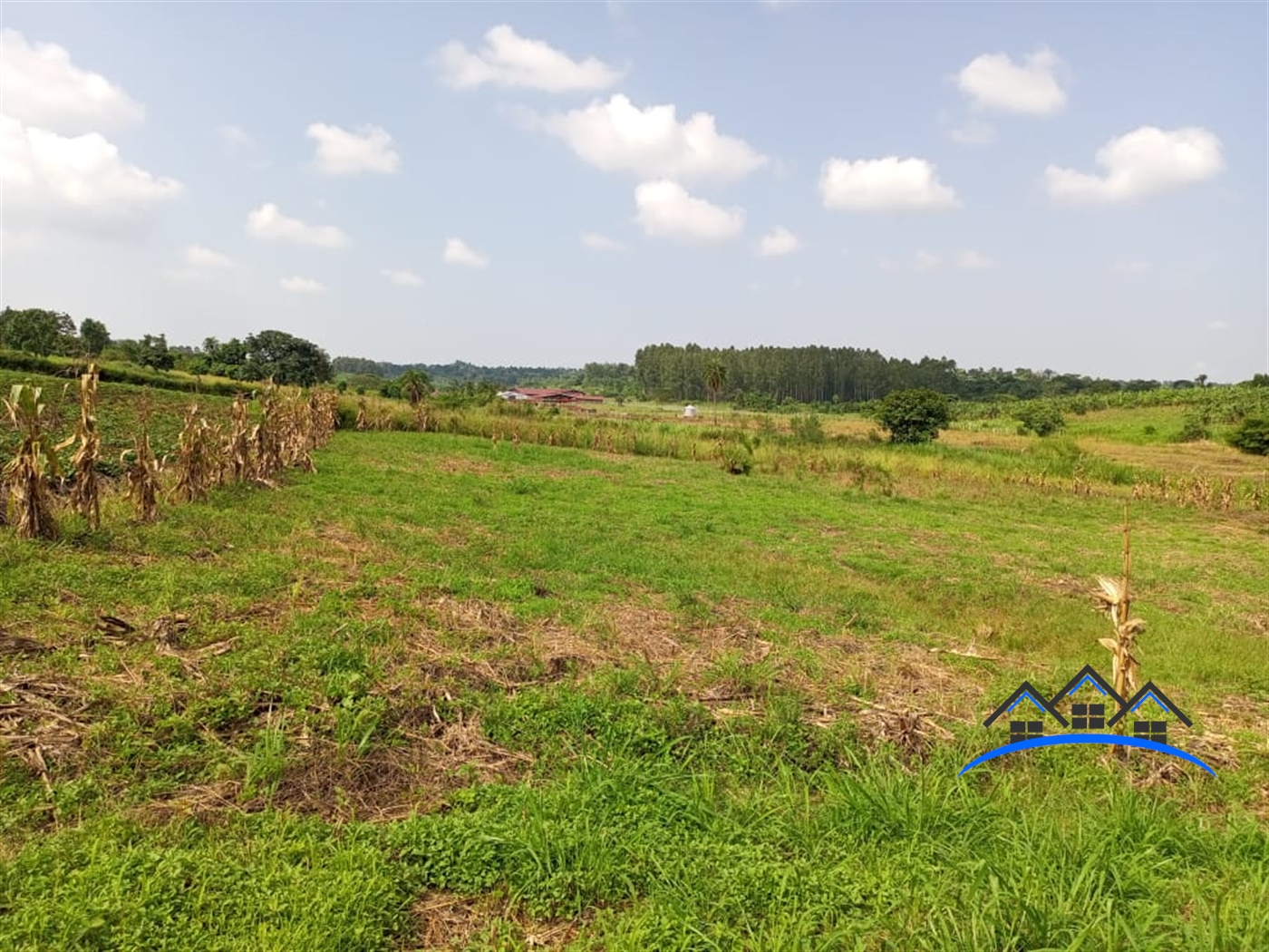 Commercial Land for sale in Kiwenda Wakiso