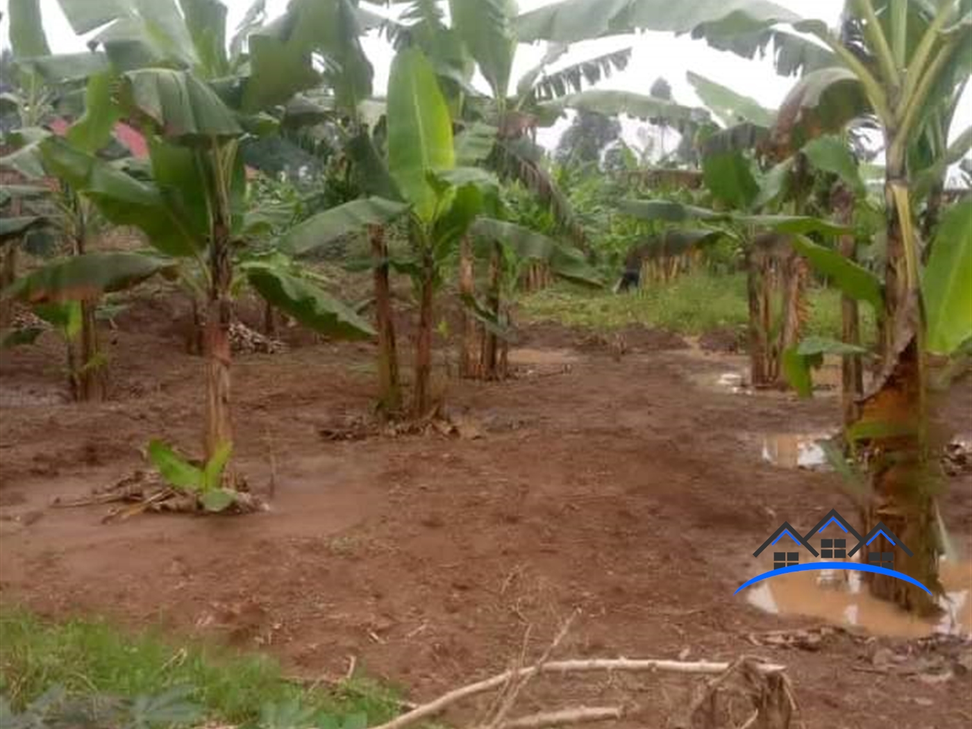 Residential Land for sale in Seeta Mukono