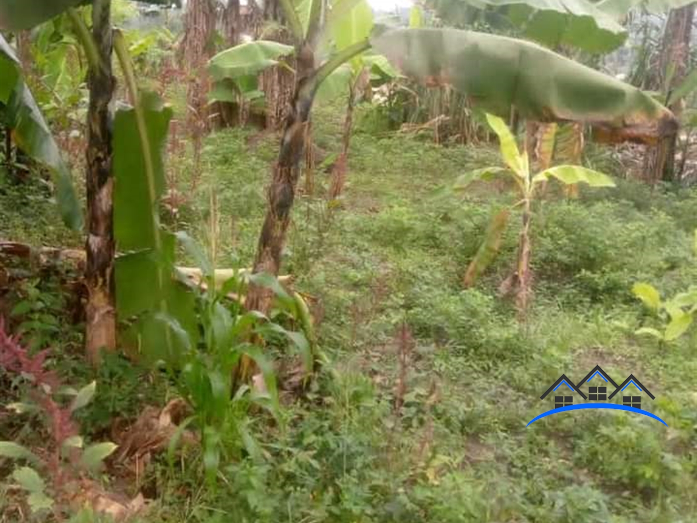 Residential Land for sale in Seeta Mukono