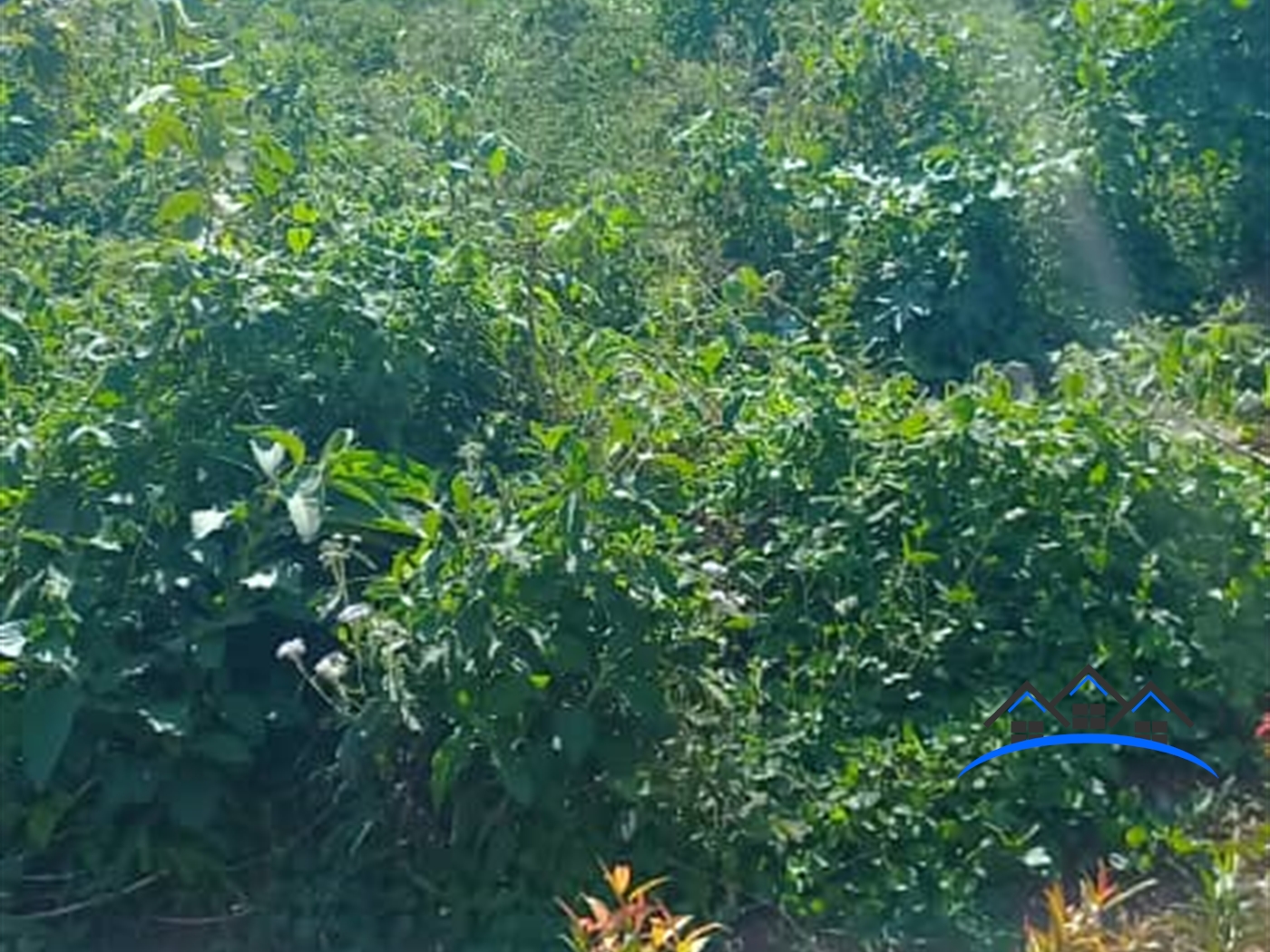 Residential Land for sale in Seguku Wakiso