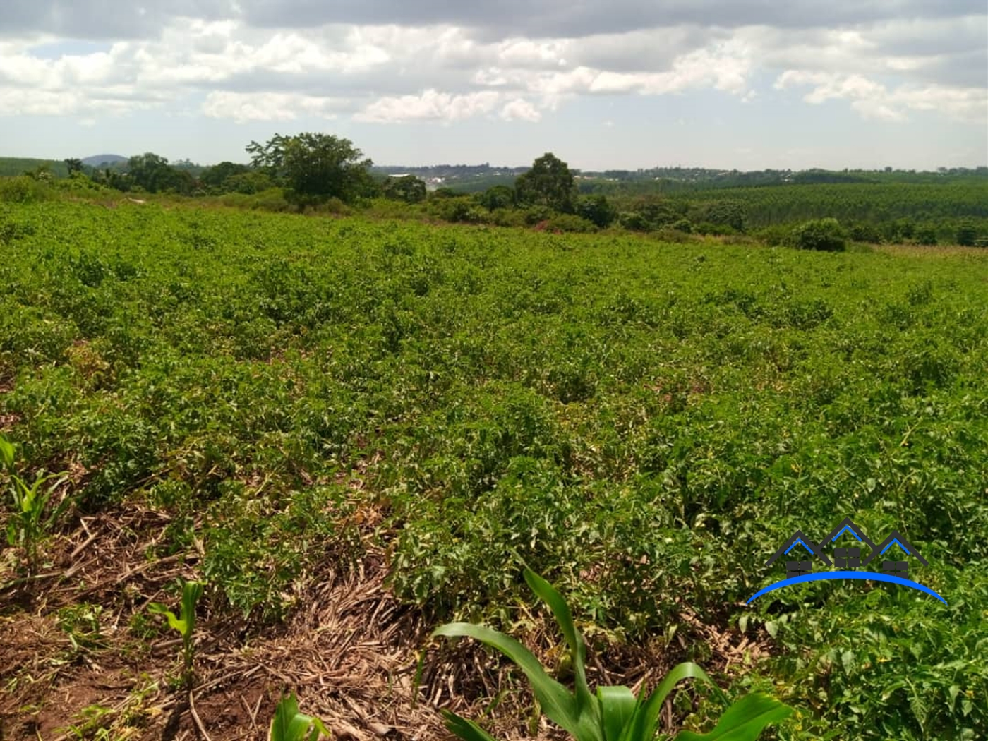 Commercial Land for sale in Mpoma Mukono