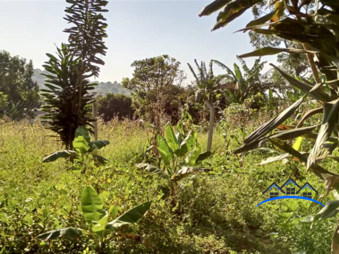 Residential Land for sale in Namugongo Mukono