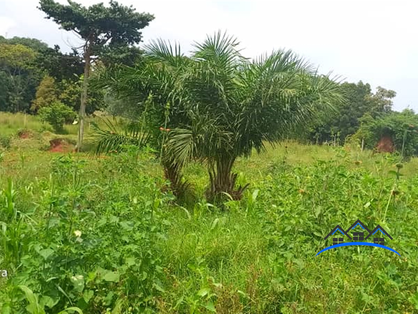 Residential Land for sale in Kigo Wakiso