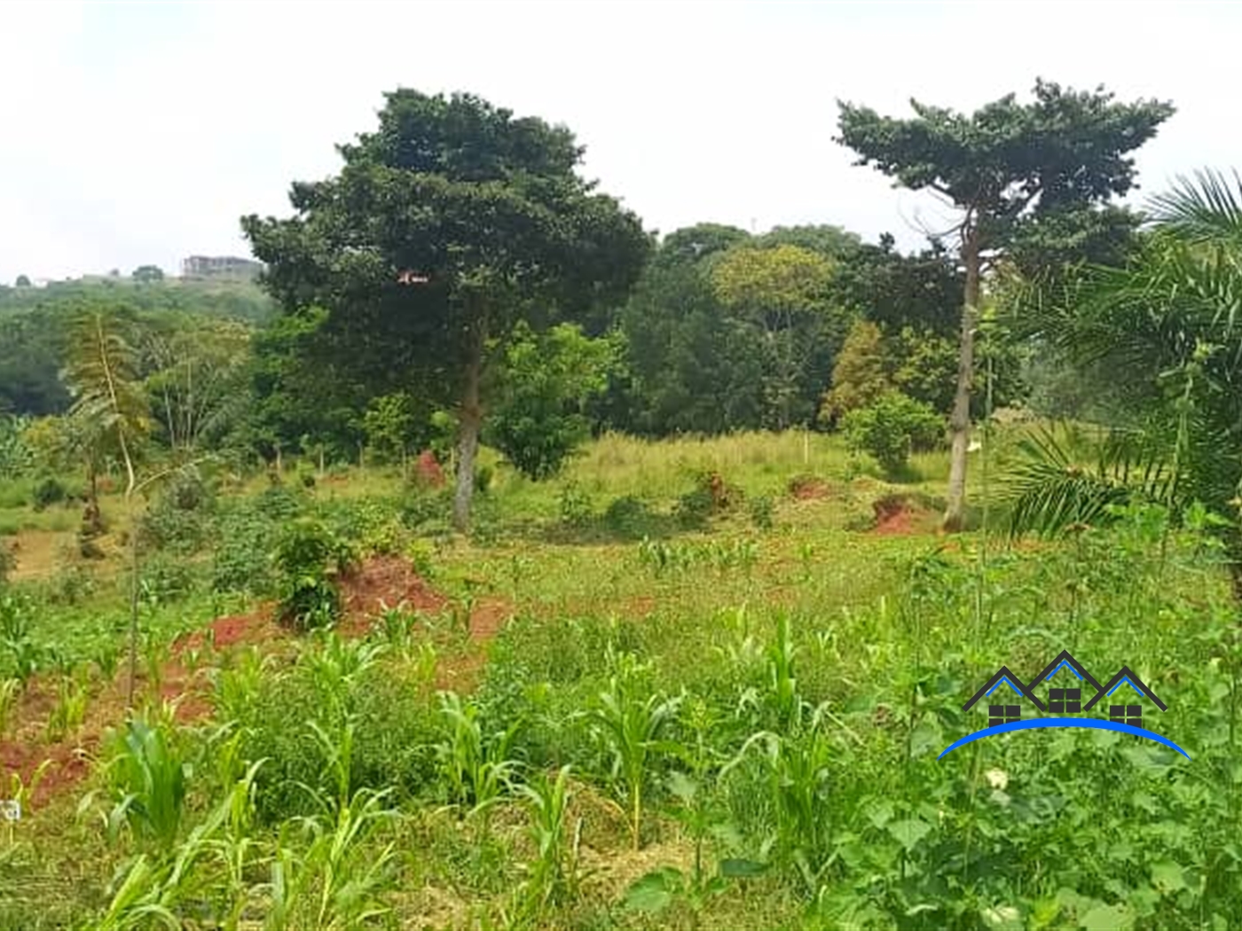 Residential Land for sale in Kigo Wakiso