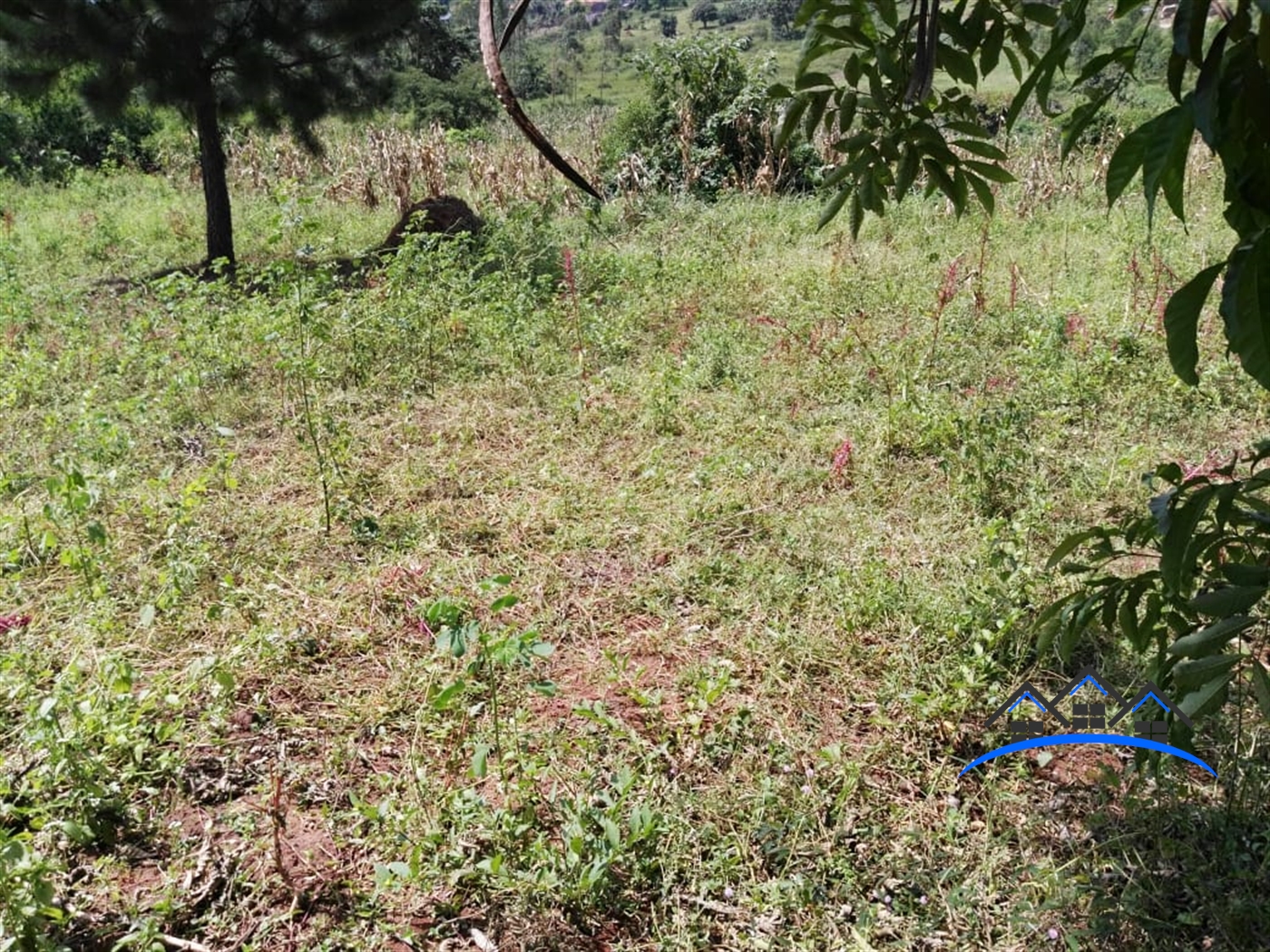 Residential Land for sale in Gayaza Wakiso