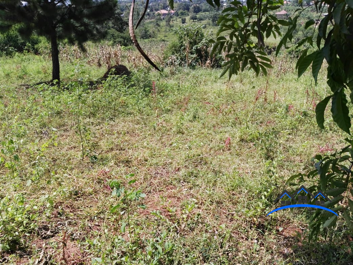 Residential Land for sale in Gayaza Wakiso