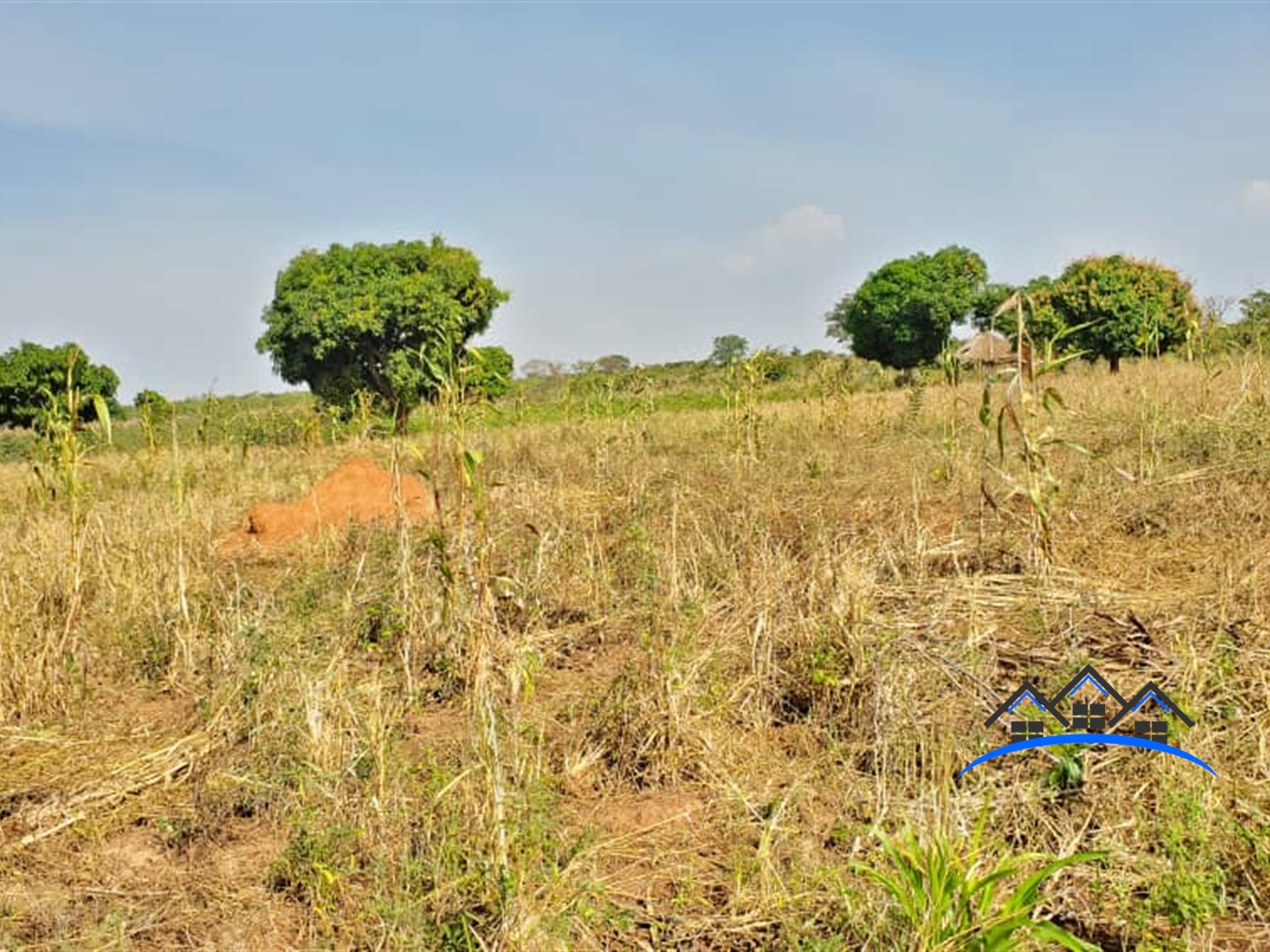 Residential Land for sale in Kalungi Nakasongola