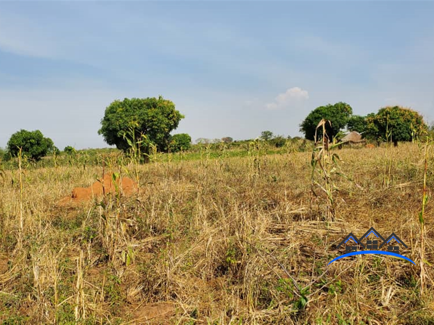 Residential Land for sale in Kalungi Nakasongola