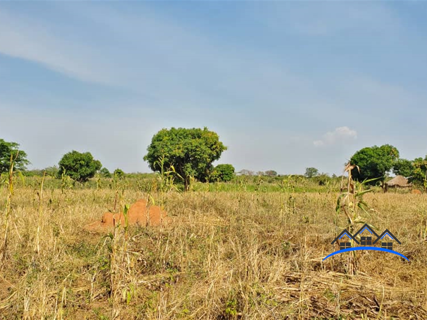 Residential Land for sale in Kalungi Nakasongola