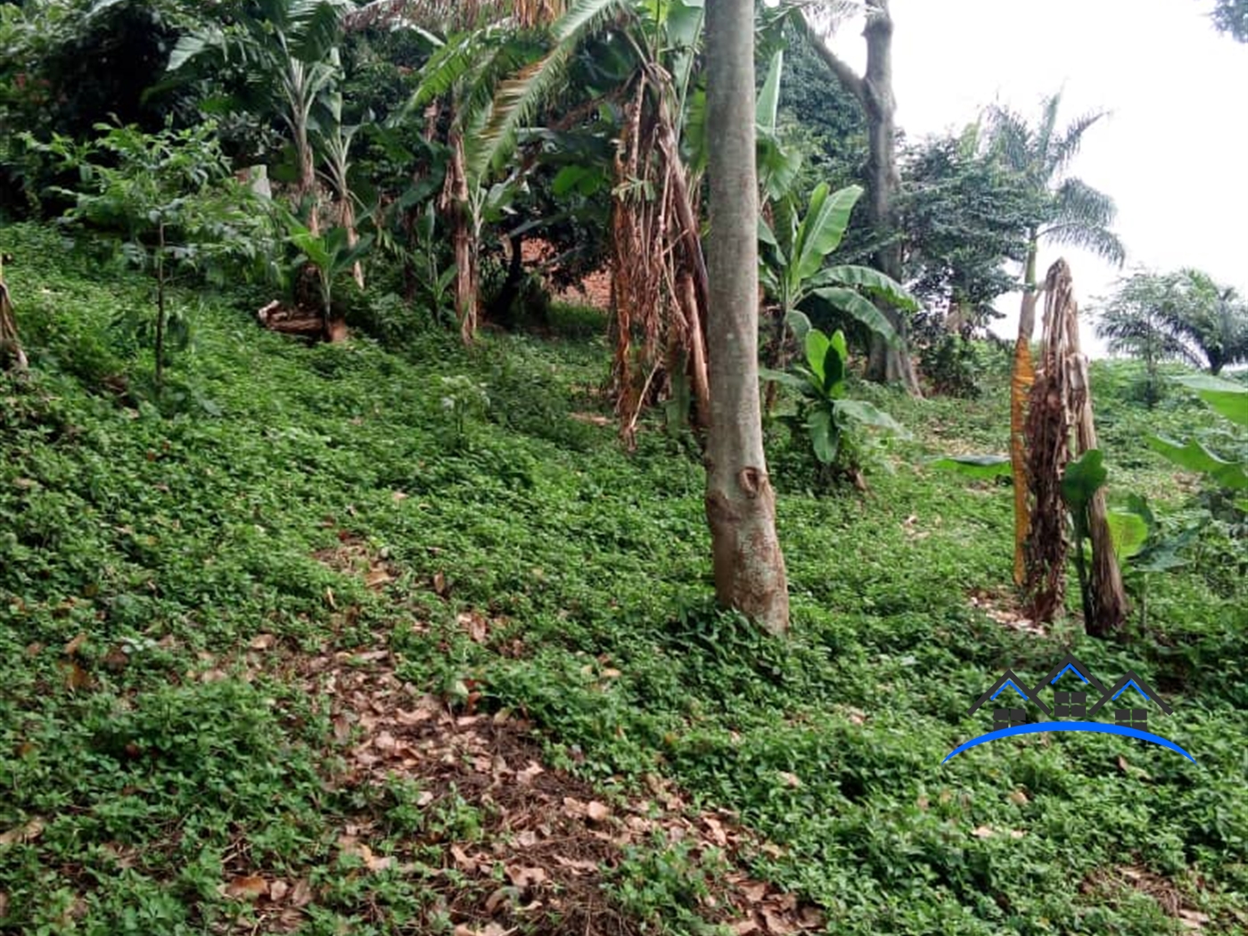 Recreational Land for sale in Kisubi Wakiso