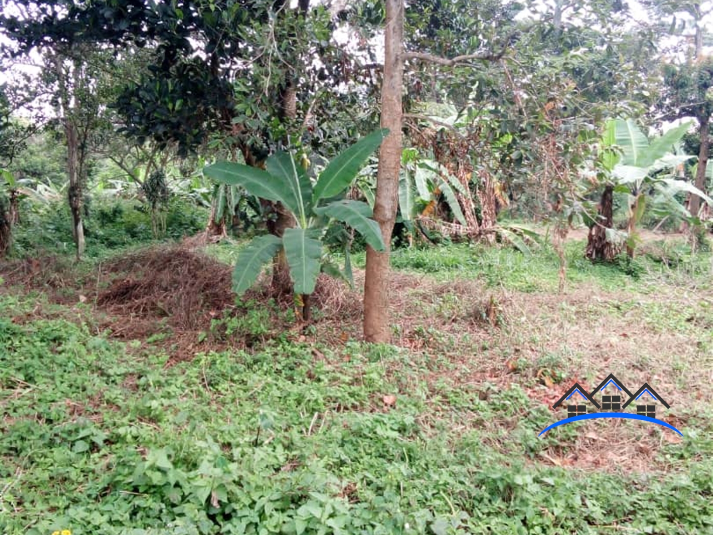 Recreational Land for sale in Kisubi Wakiso