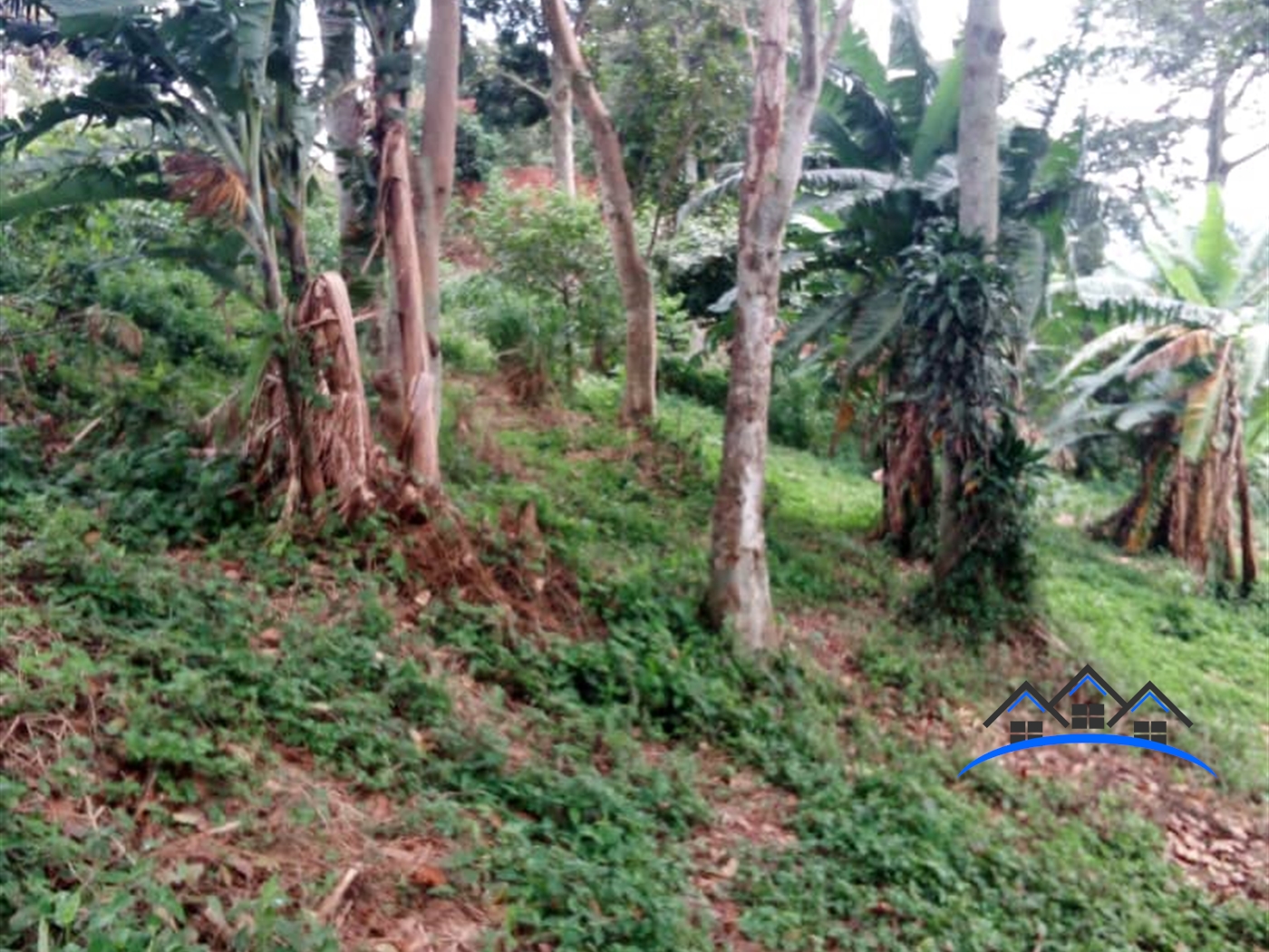 Recreational Land for sale in Kisubi Wakiso