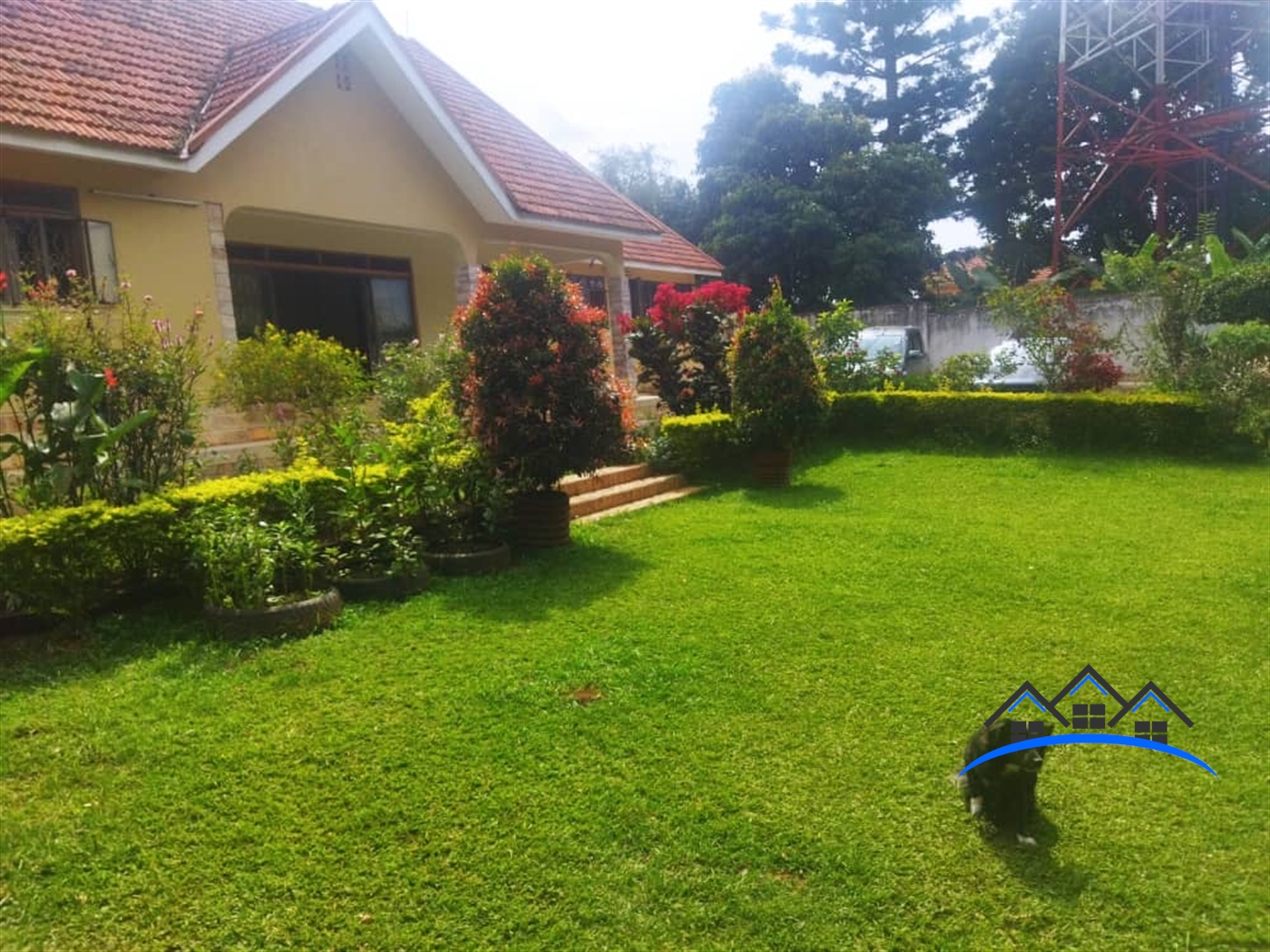 Bungalow for sale in Bukoto Kampala