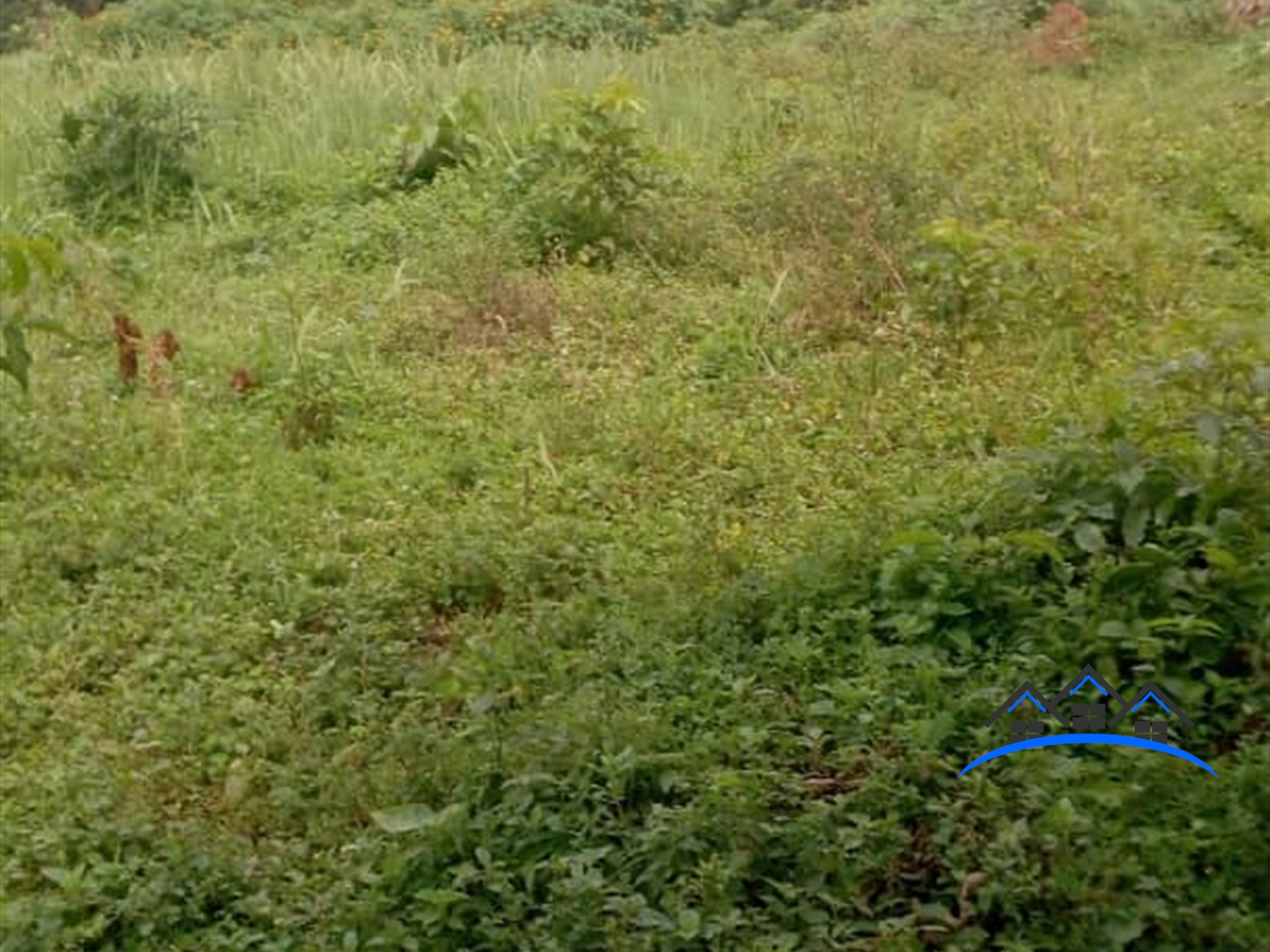 Residential Land for sale in Ssisa Wakiso