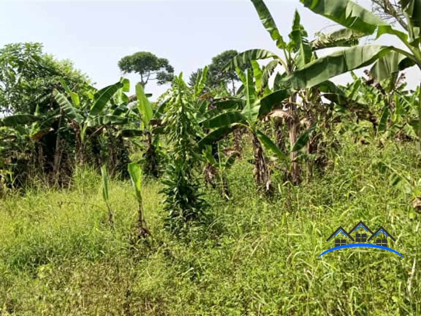 Residential Land for sale in Matugga Wakiso